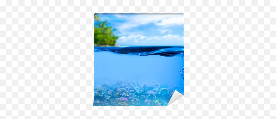Png V - Fondo Del Mar Y Superficie,Water Surface Png