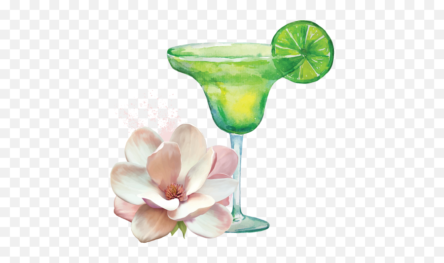 Magnolias Huntsville Botanical Garden - Margarita Illustration Png,Margaritas Png