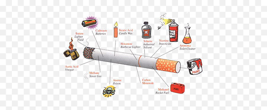 Harms Of Cigarette Smoking And Health Benefits Quitting0 - Health Effects Of Cigarette Smoking Png,Cigarette Smoke Transparent