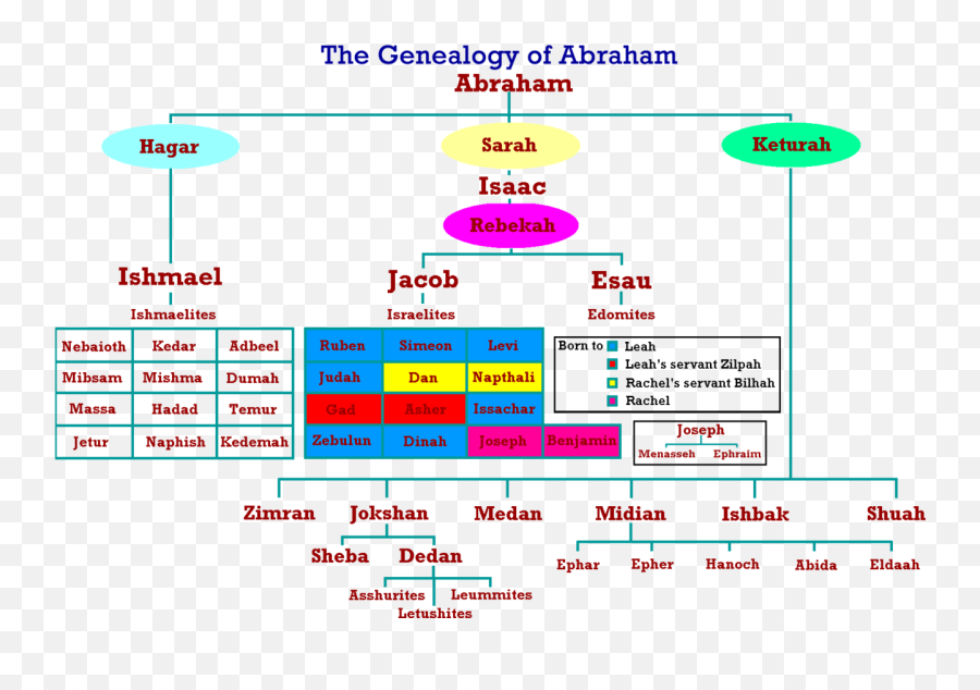 Descendants November 6 Coach4aday - Abraham Bible Family Tree Png,Descendants Png