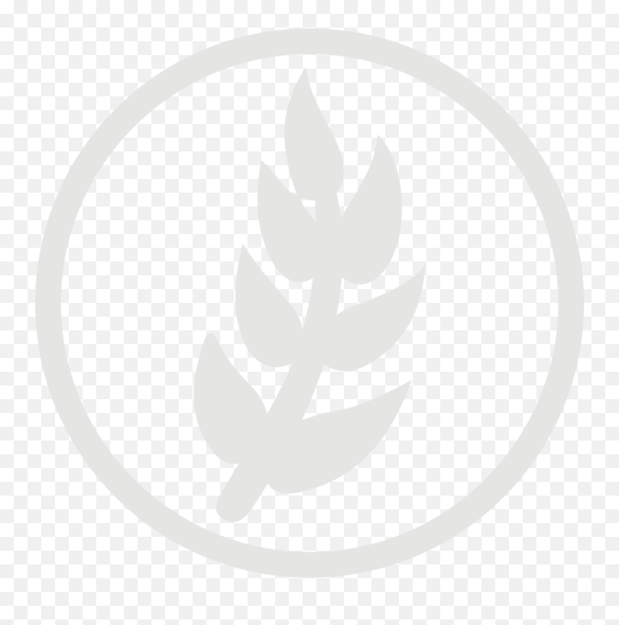 Wheat Allergy Grey Icon - Transparent White Wheat Symbol Png,Wheat Icon Png