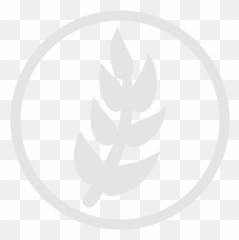 Wheat Allergy Grey Icon - Transparent White Symbol png