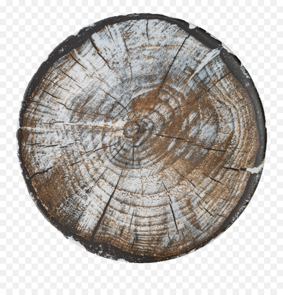 Tafelstern T371228 - 360226 Plate 11 Dia Round Coupe Wood Grain Round Png,Wood Grain Png