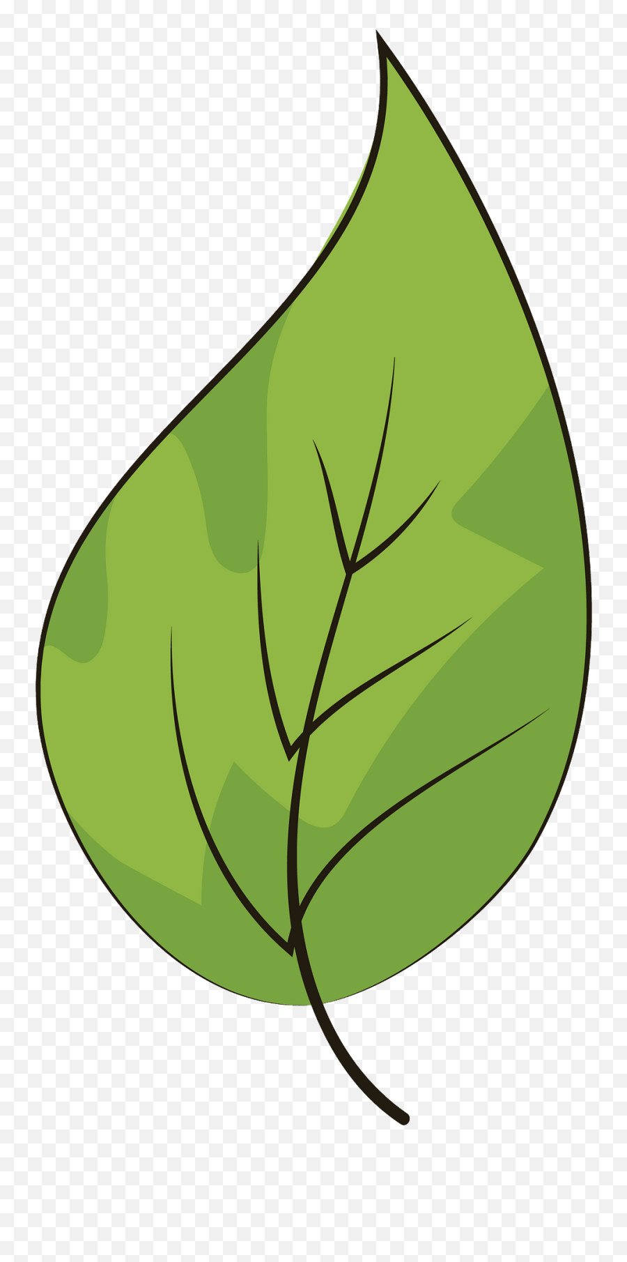 Green Color Leaf Drawing Png Icon - Illustration,Abstract Leaf Icon