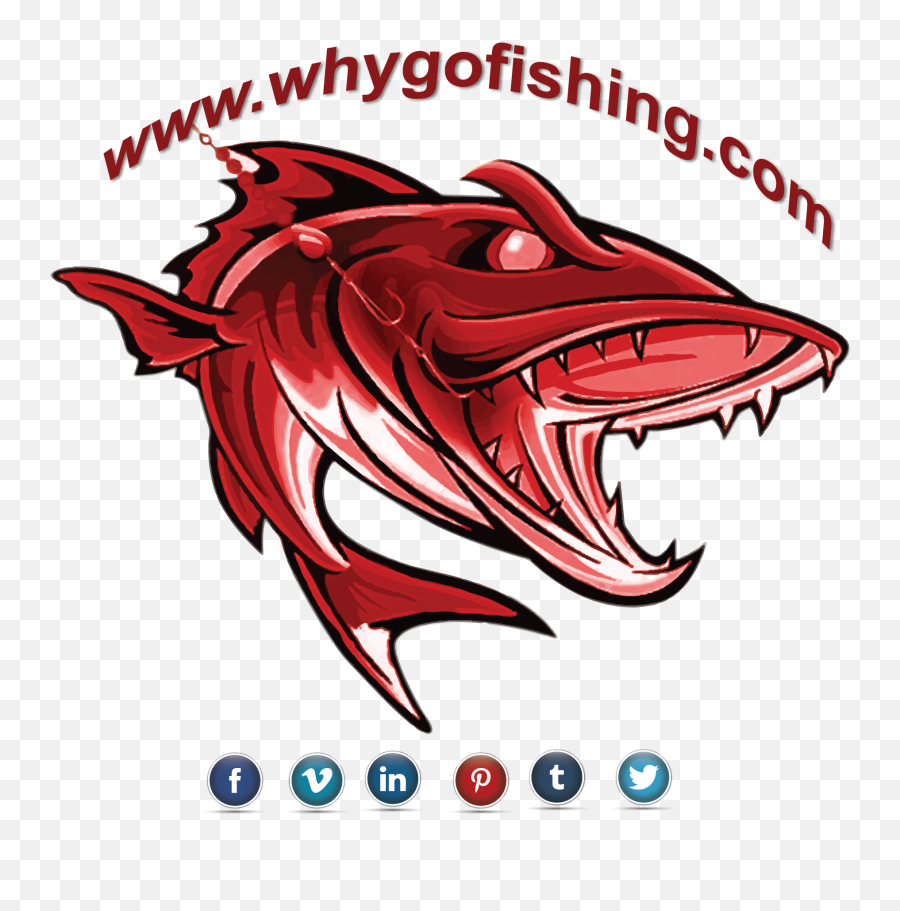 Why Go Fishing Letu0027s U2013 1001 Reasons To - Illustration Png,Fish Logo Png