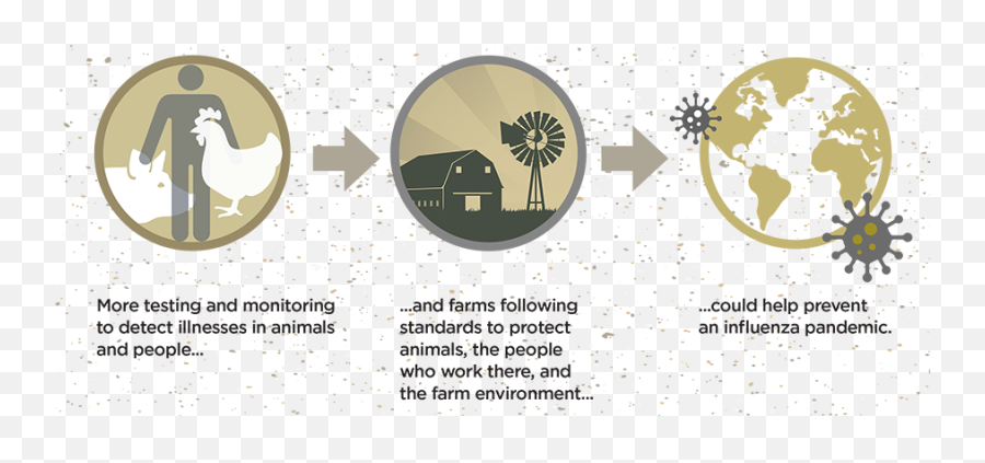 One Health Office Fact Sheet - One Health E Coli Png,Looking Ahead Icon