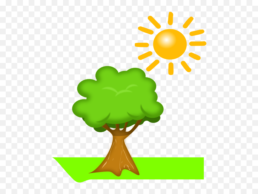Library Of Tree And Sun Stock Png Files - Plants Make Their Own Food,Tree From Above Png