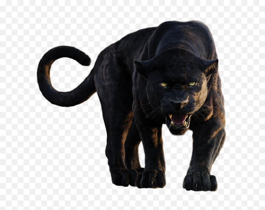Black Panther Png File - Transparent Background Panther Png,Black Panther Transparent