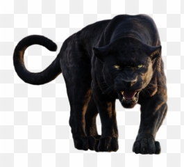 Black Panther Png File - Transparent Background