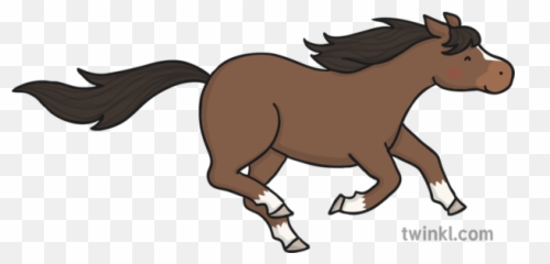 Running Horse Illustration - Twinkl Twinkl Horse Png,Horse Running Png