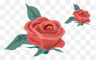 Red Rose Flower Nature Drawing Free Image Download - Drawing Flower Vintage Png