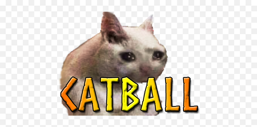 Catball Thunderstore - The Valheim Mod Database Photo Caption Png,Baldur's Gate Icon