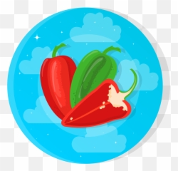 Flat Icon - Organic Herbs and Spices Graphic by Uppoint Spicy png