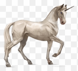 Unicorn Illustration Transparent Png - Stickpng Unicorn Png,Unicorn Png Transparent