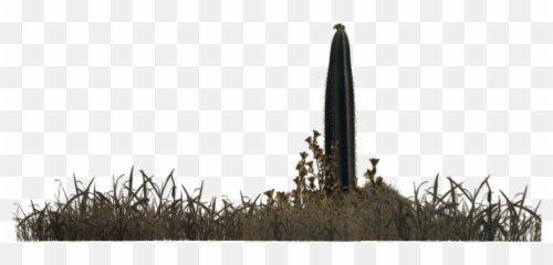 Desert Bushes Png - Desert Plants Png 1746760 Vippng