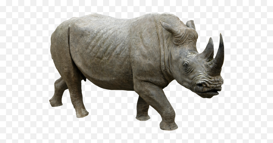 Rhino Png Background