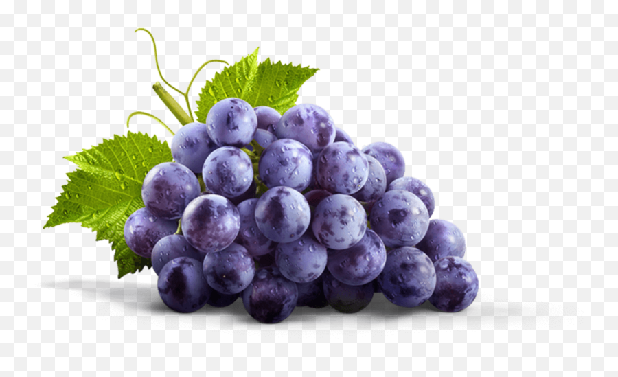 Transparent Grapes Purple Picture 1230485 - Transparent Grape Juice Png,Grapes Png