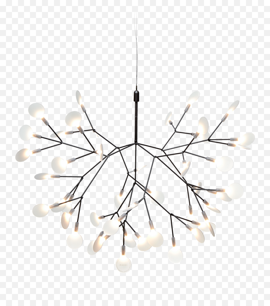 Heracleum Ii Suspended - Moooi Moooi Heracleum Small Png,Nickel Png