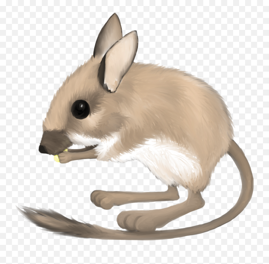Clipart Of Rat Rats And By - Mouse Transparent Mouse Png,Rats Png