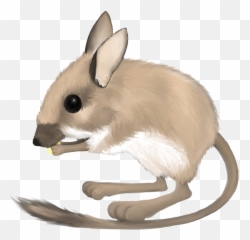 Clipart Of Rat Rats And By - Mouse Transparent Mouse Png,Rats Png