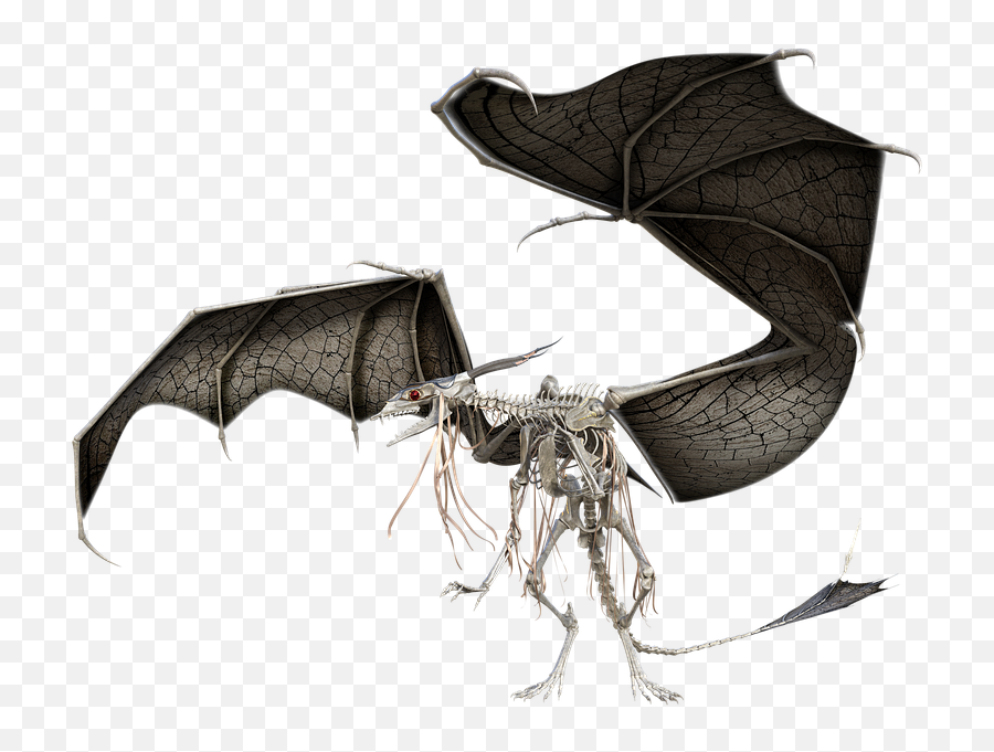 Dragon Wraith Skeleton - Illustration Png,Wraith Png