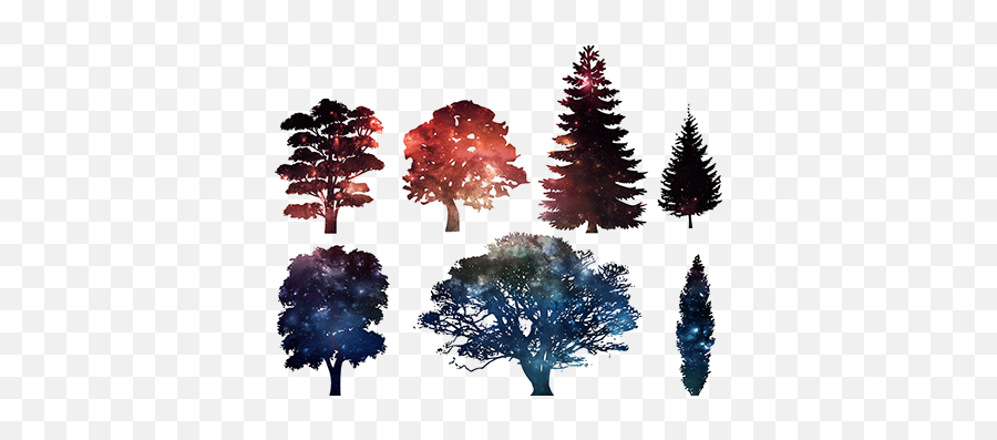 Download Pine Tree Silhouette Png Image With No Background - Free Vector Tree Silhouette,Pine Tree Silhouette Png