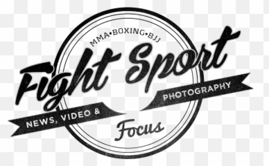 Brock Lesnar U2013 Retirement Or Swerve Fight Sport Focus - Beauty Center Png,Brock Lesnar Transparent
