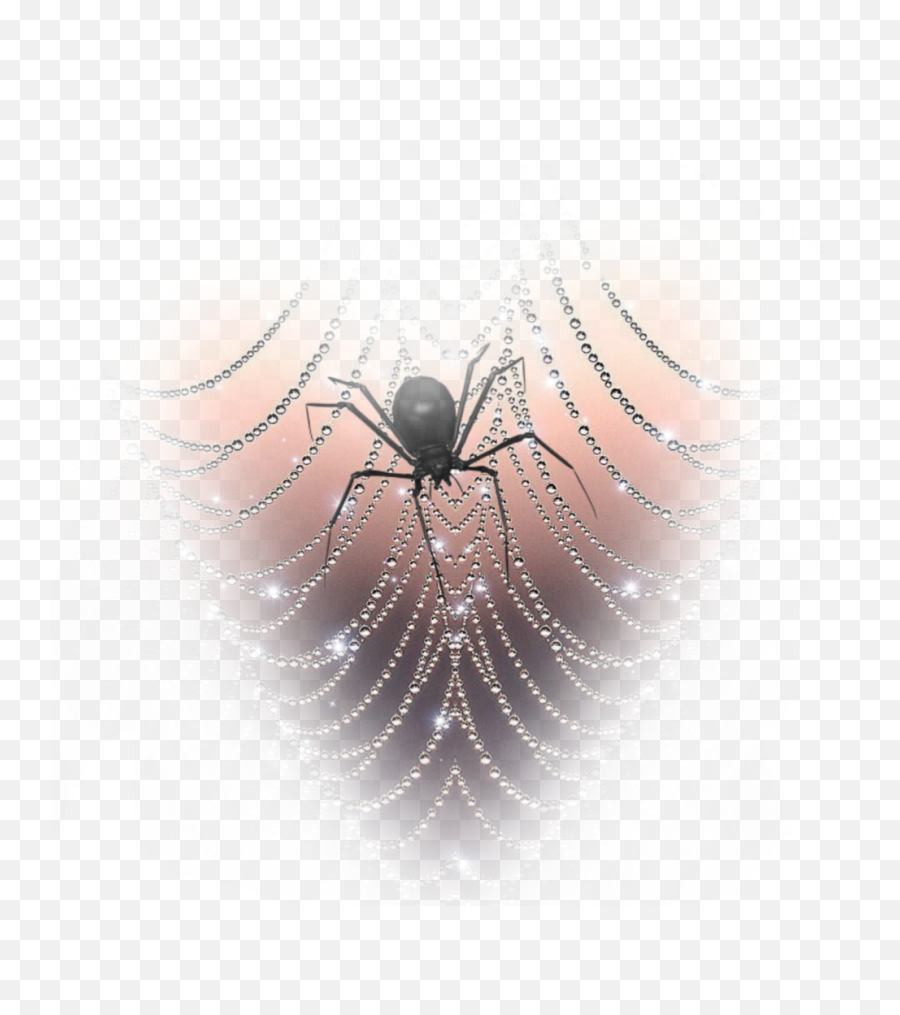 Freetoedit Spider Spiderwebs - Spider Web Png,Spiderwebs Png
