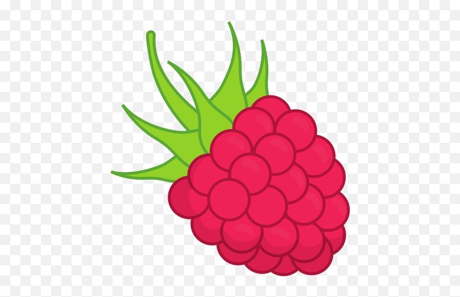 Fall Raspberries Minnesota Grown - Seedless Fruit Png,Raspberries Png