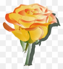 Download Hd Flowers For Yellow Clip Art Png - Roses Background