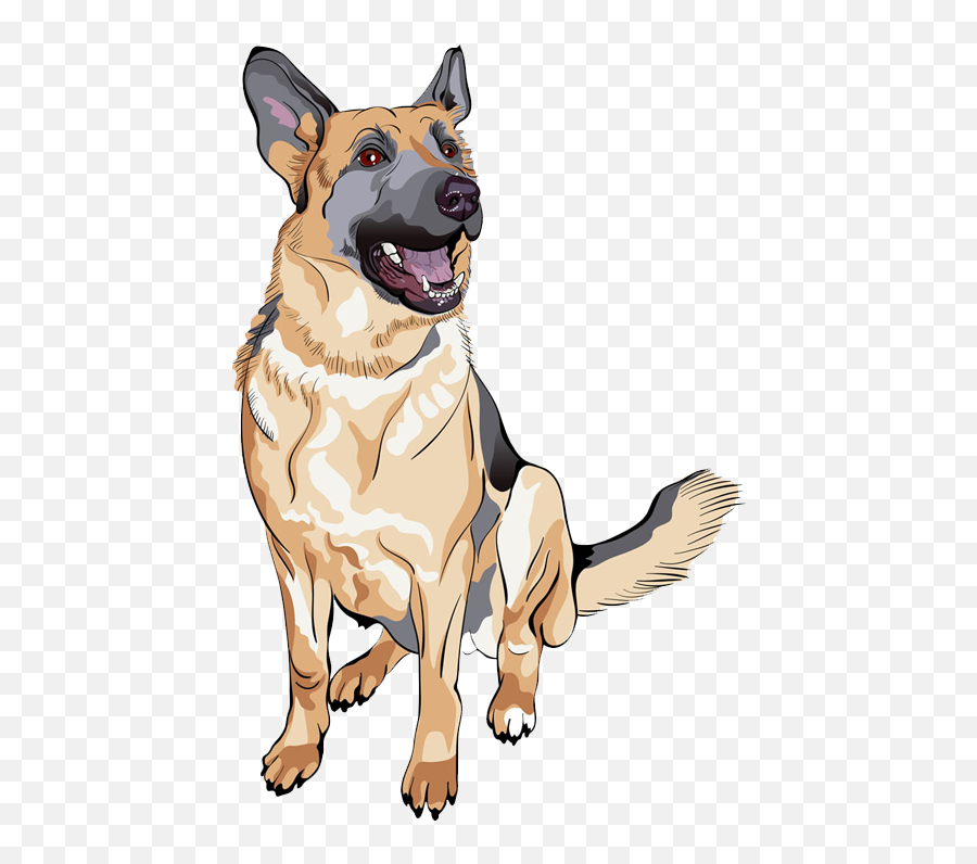 German Shepherd Royalty - Free Stock Photography Clip Art Perro Pastor Alemán Dibujo Png,German Shepherd Png