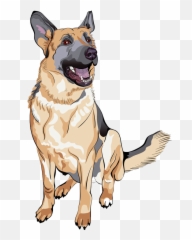 German Shepherd Royalty - Free Stock Photography Clip Art Perro Pastor Alemán Dibujo Png,German Shepherd Png