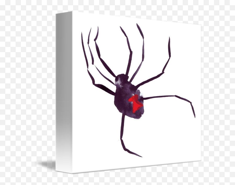 Black Widow By Allyson Kitts - Black Widow Png,Black Widow Spider Png