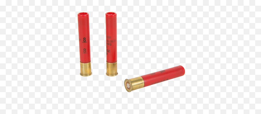 Buy Shotgun Shells Online - 410 Shotgun Bullet Png,Shotgun Shell Png
