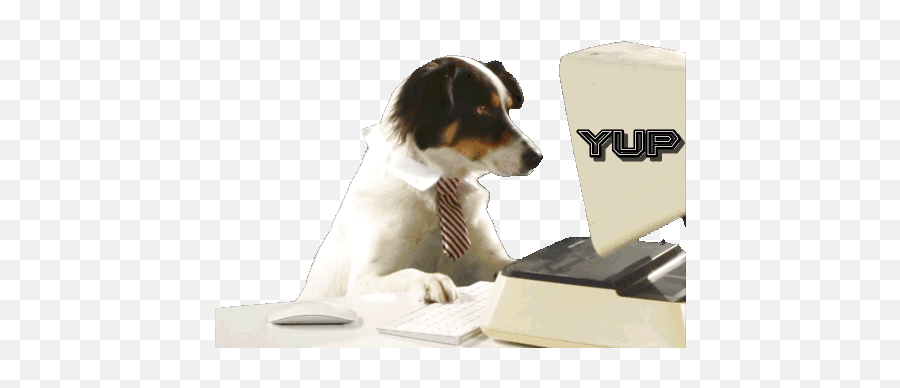 Yup Office Dog Gif - Yup Officedog Agreeingdog Discover U0026 Share Gifs Treeing Walker Coonhound Png,Snoop Dogg Gif Transparent