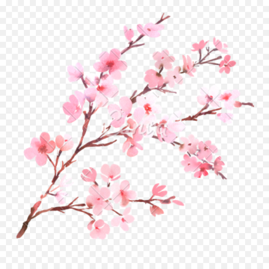 Watercolor With Spring Tree Branch In Blossom - Watercolor Transparent Background Cherry Blossom Transparent Png,Watercolor Tree Png