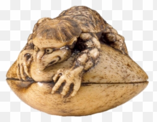 Kappa - Kappa And Clam Png,Kappa Transparent Background