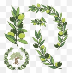 Green Wreath Png - Olive Branch Meaning Transparent Vector
