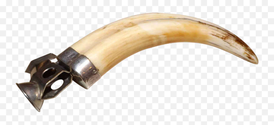 National - Solid Png,Tusk Png