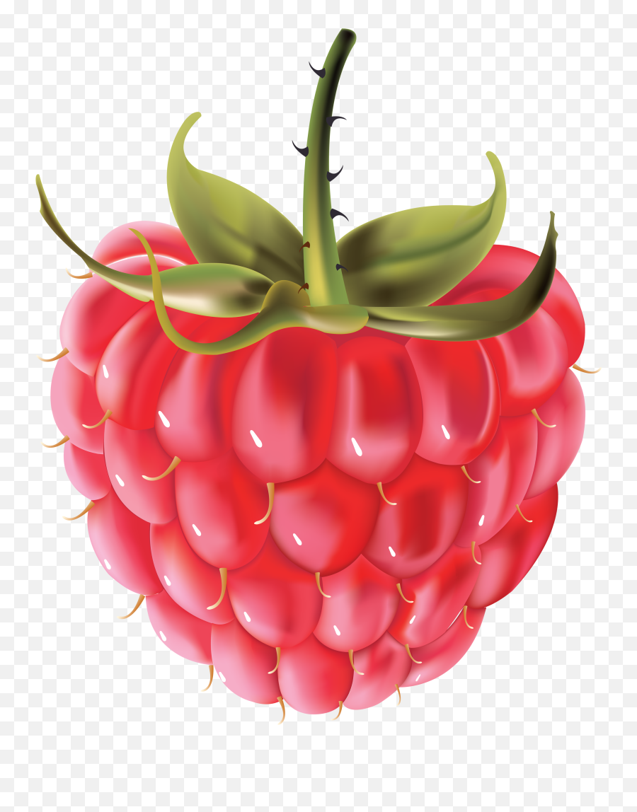 Raspberry Png Images Free Pictures Download