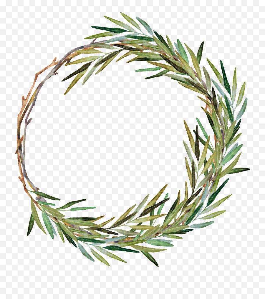Download Hand Painted Weed Grass Ring - Watercolor Painting Png,Rosemary Png