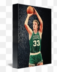 Larry Bird - Larry Bird Png,Larry Bird Png