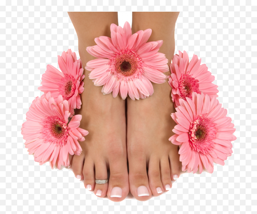 Gift Certificate Pedicure - Pedicure Png,Pedicure Png