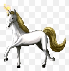 Man Paladin With Basic Anti Undead - Unicorn Png,Gold Unicorn Png
