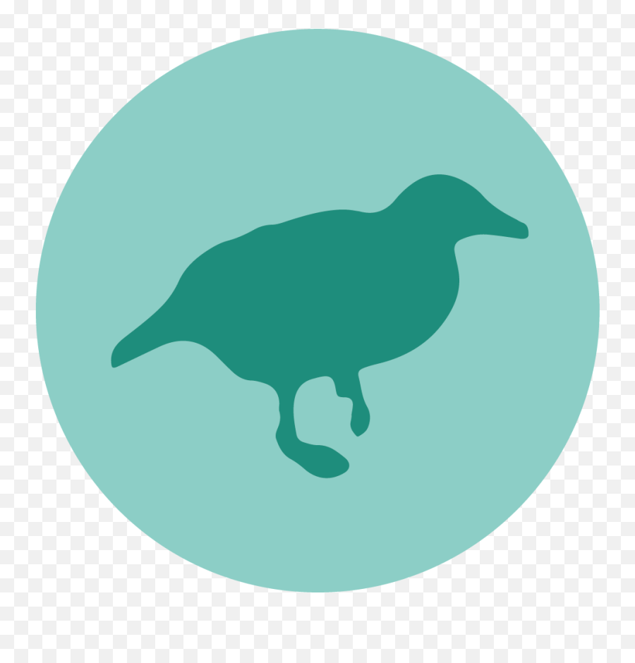 Nctu Data - Weka Icon Png,Sequencing Icon