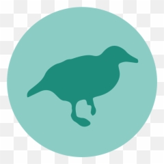 Nctu Data - Weka Icon Png