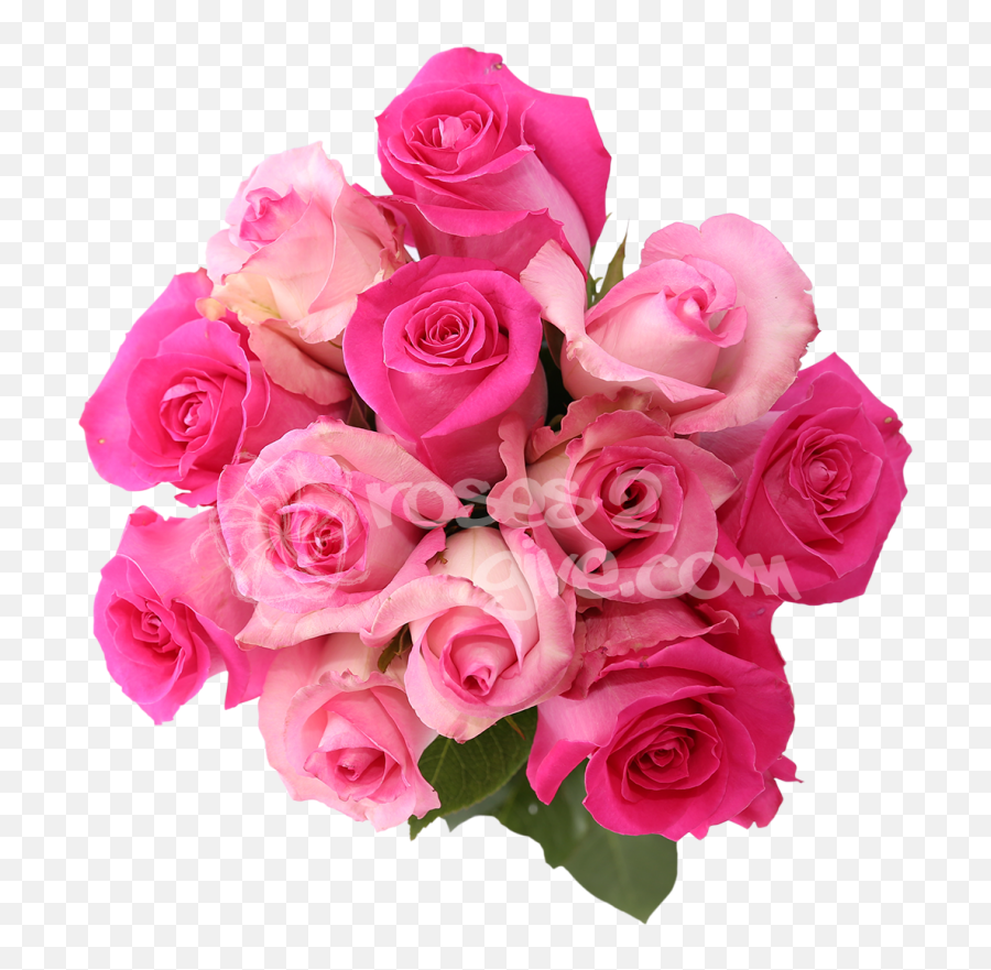 Real Bouquet Transparent Png Clipart - Floribunda,Real Rose Png