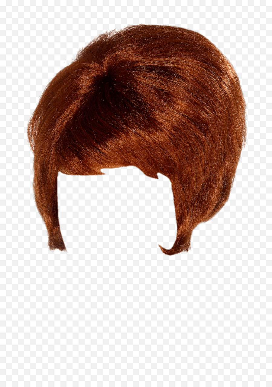 Wigs With No Background - Beehive Wig Png,Wigs Png