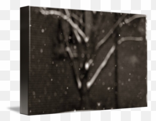 Falling Snow - Monochrome png