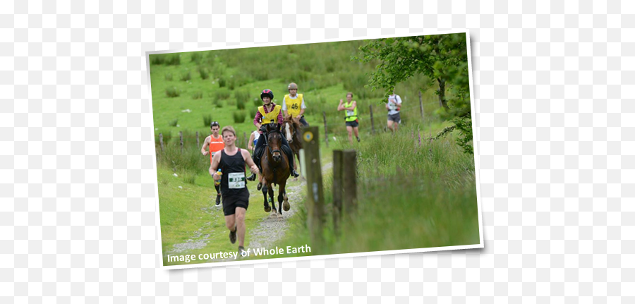 Man V Horse 14th June 2014 Png Running